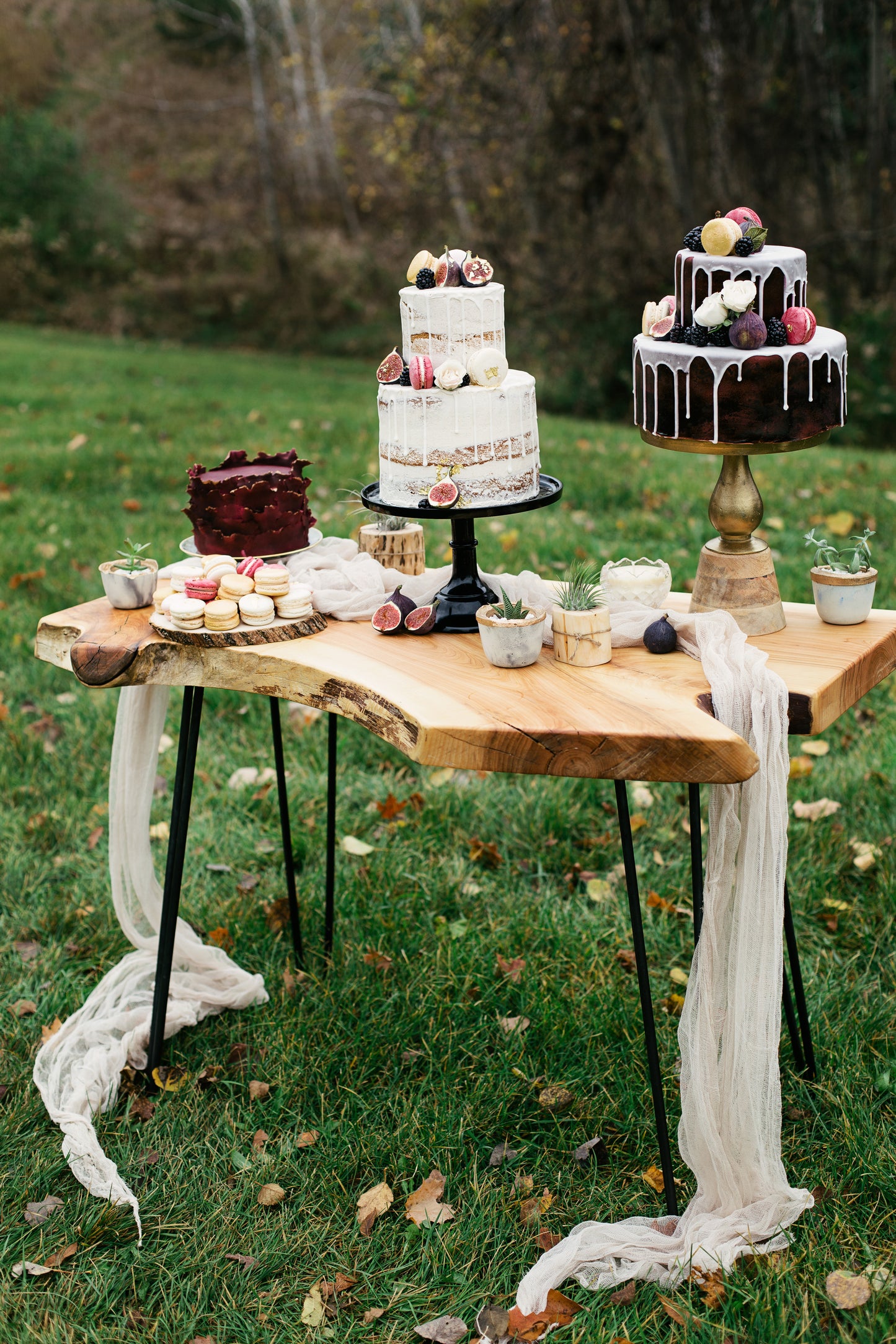 Cake and Custom Orders