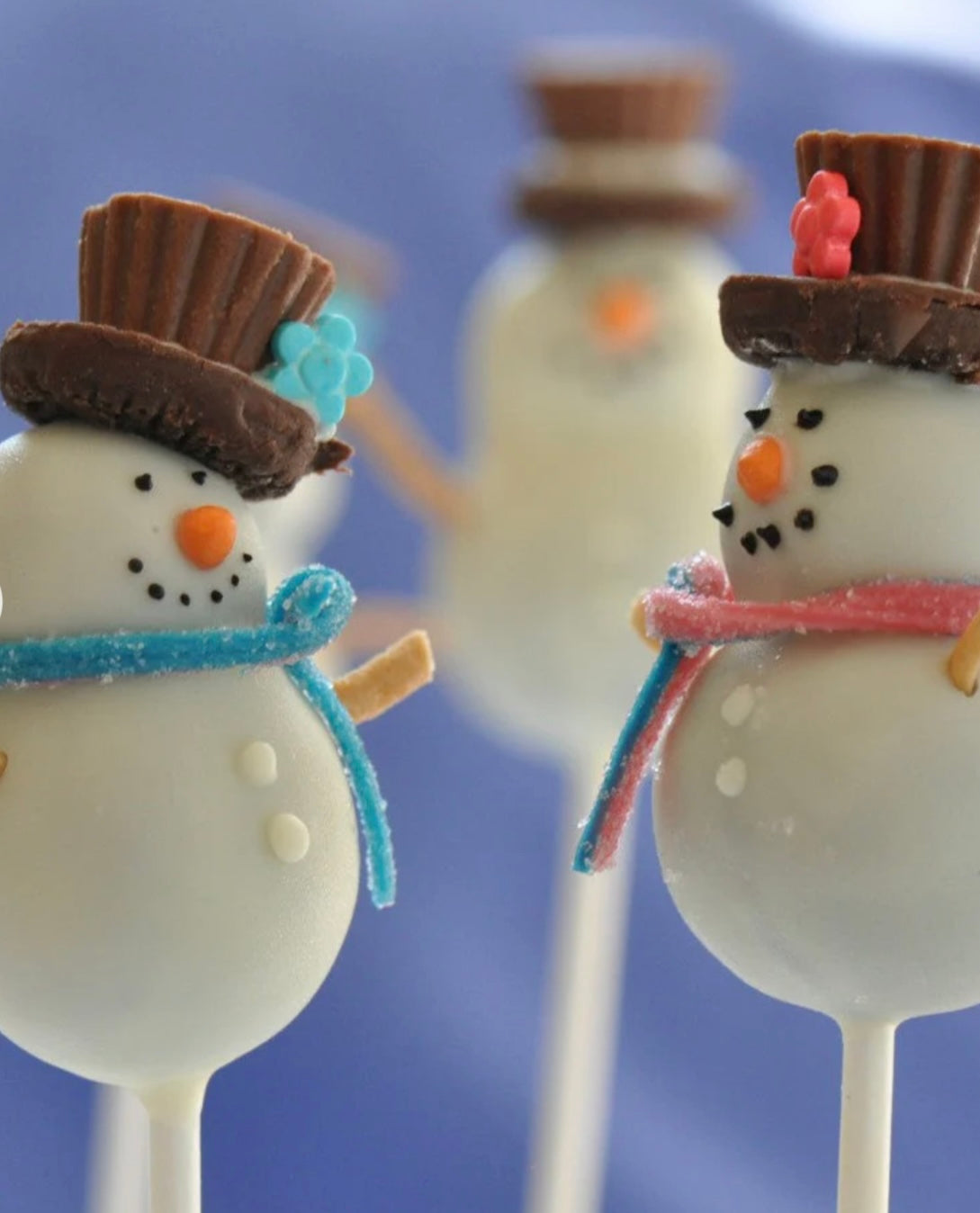 Christmas Cake Pops -12