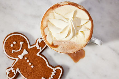 Gingerbread Family Cookies-12 Cookies